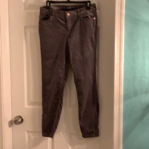 Valore gray white house black market Skimmer pants